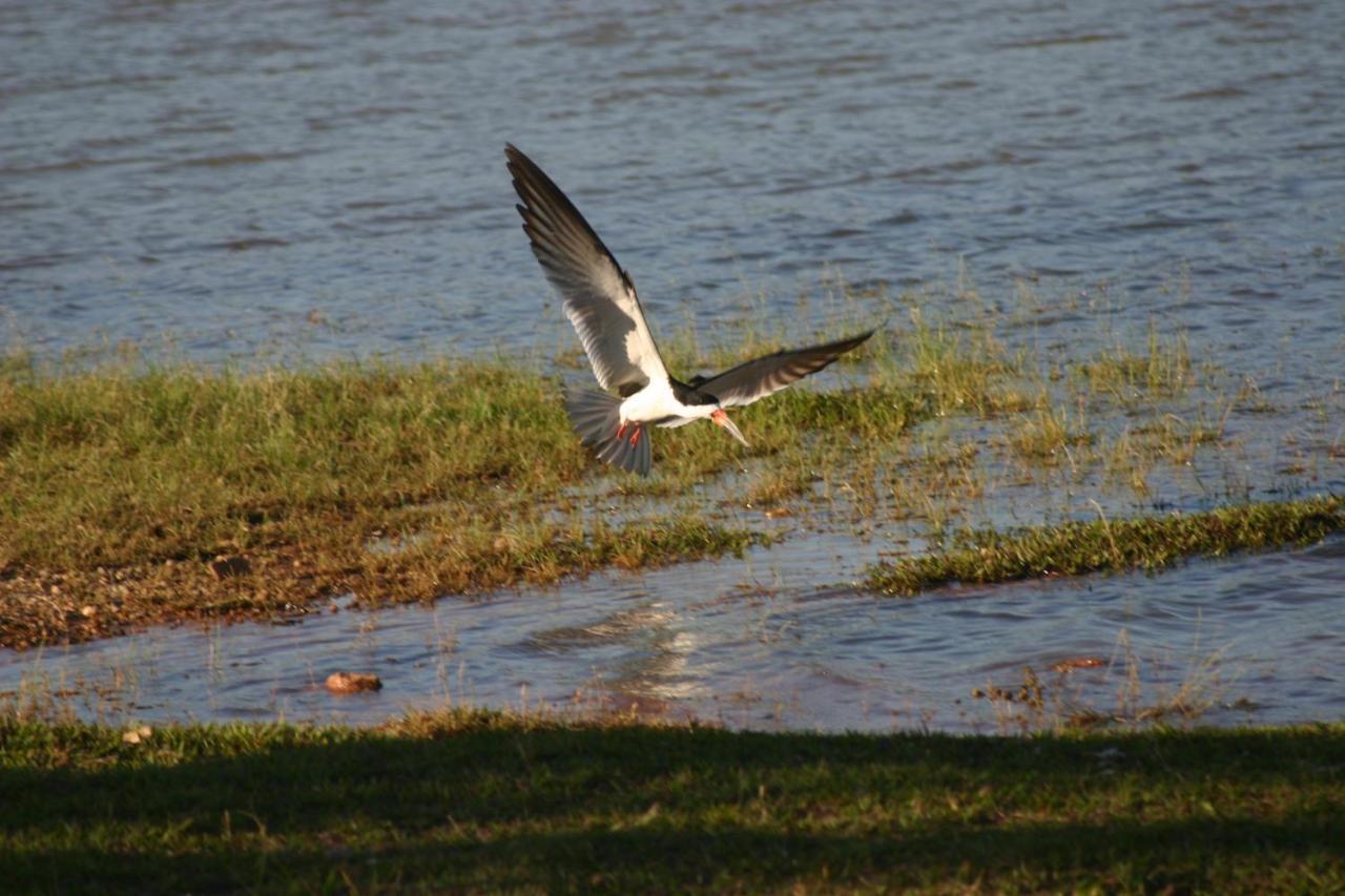 Lacqua Diroma Hotel Com Parque Aquatico 24 Horas Caldas Novas Buitenkant foto